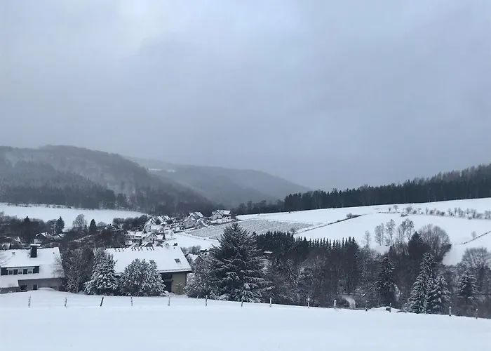 Appartement Familie Willems Winterberg Am Waltenberg